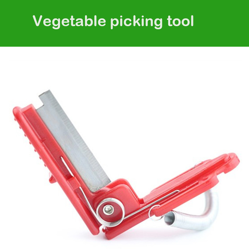 Vegetable Thump Knife Separato - Harvest Knife Garden 评论和价格