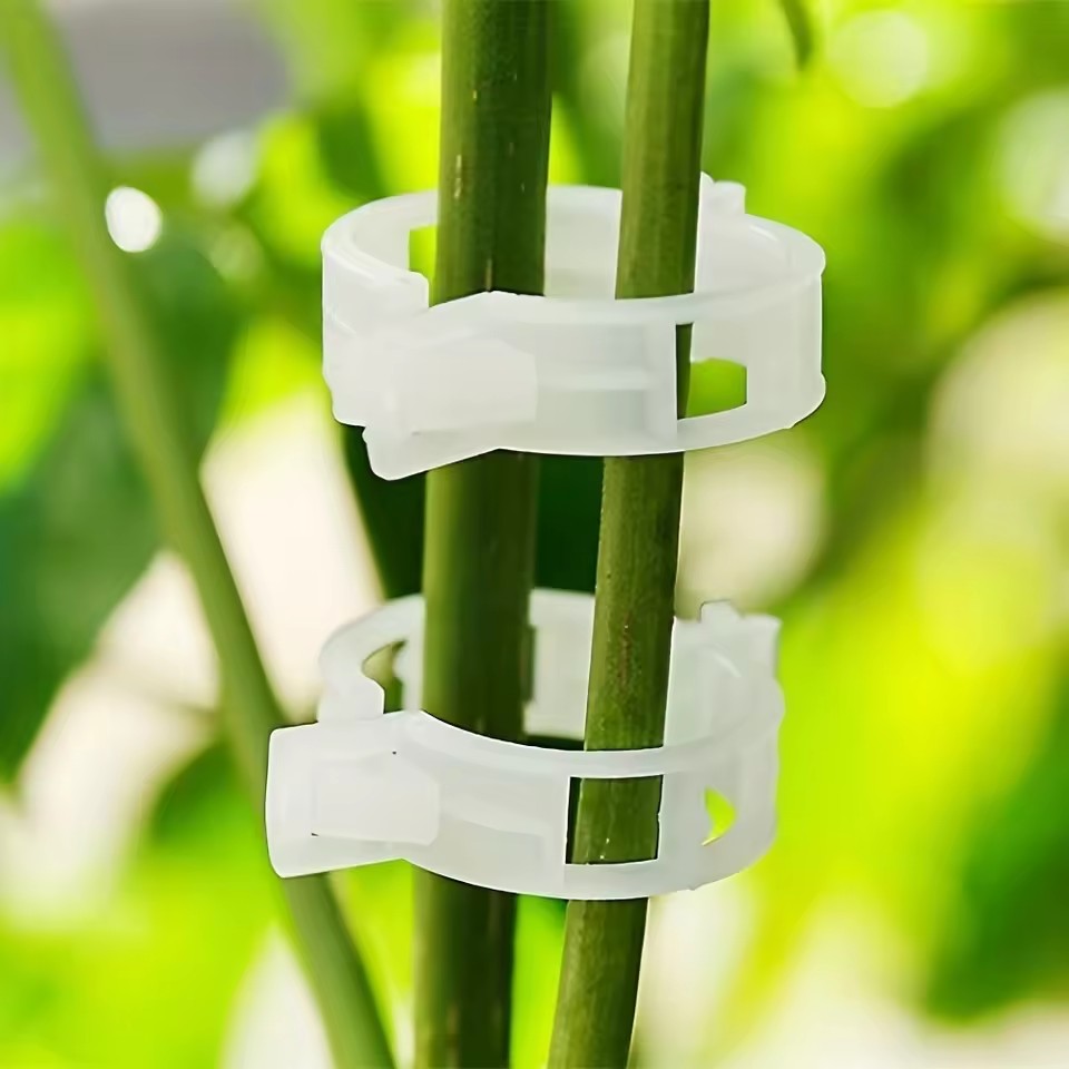 20Pcs Plant Support Clips,Snap - Gardening Tools Vegetables 评论和价格