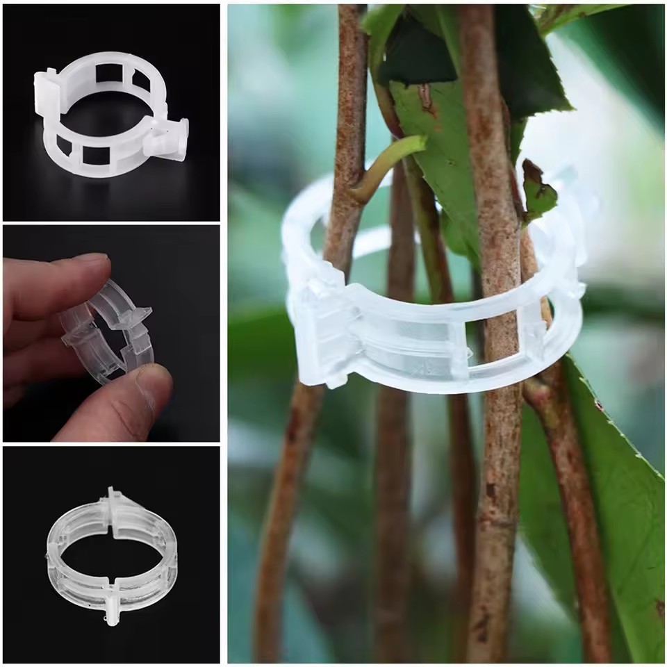 20Pcs Plant Support Clips,Snap - Gardening Tools Vegetables 评论和价格