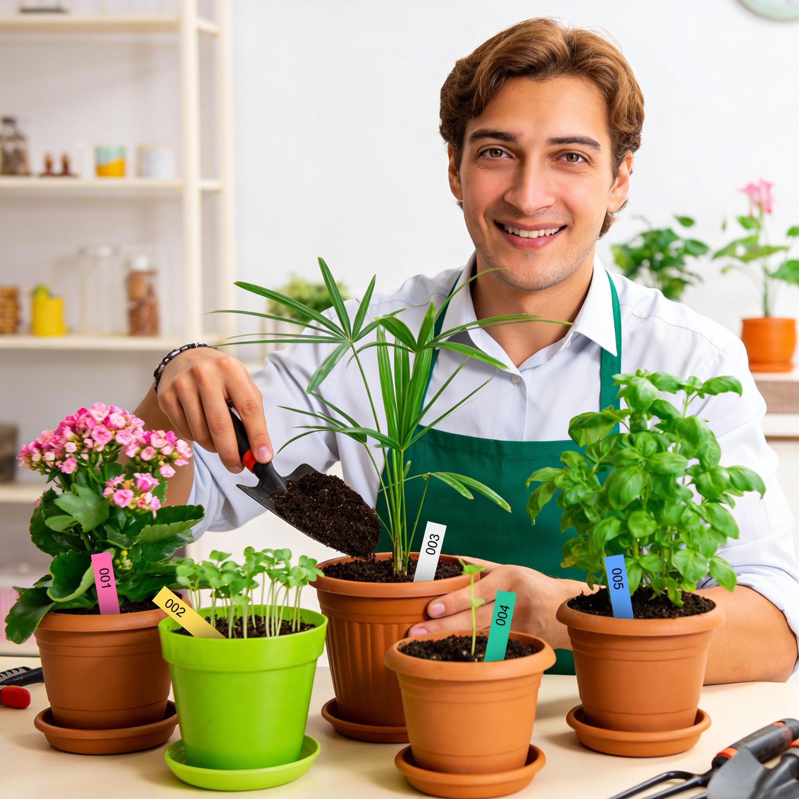 500Pcs Plant Labels Garden Sig - Plant Label Tags 评论和价格