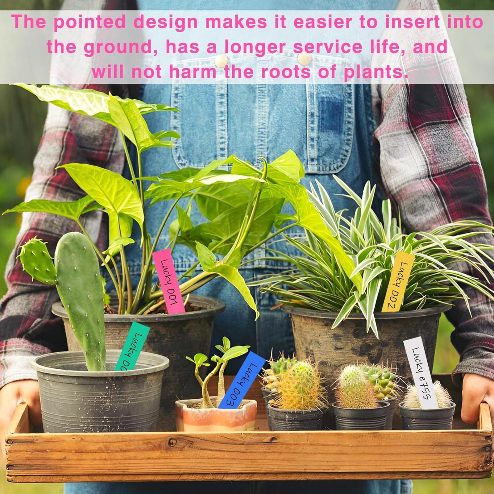 500Pcs Plant Labels Garden Sig - Plant Label Tags 评论和价格