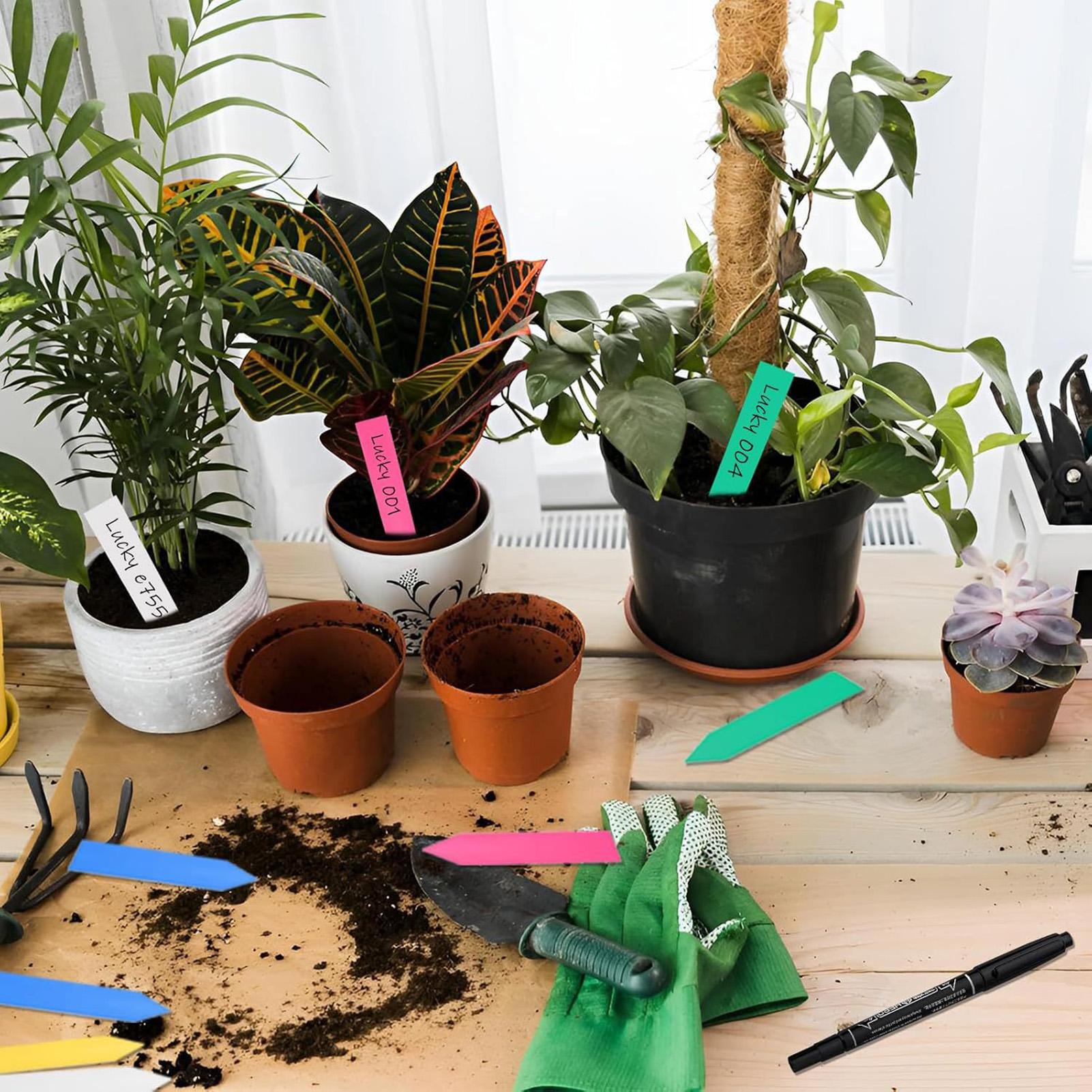 500Pcs Plant Labels Garden Sig - Plant Label Tags 评论和价格