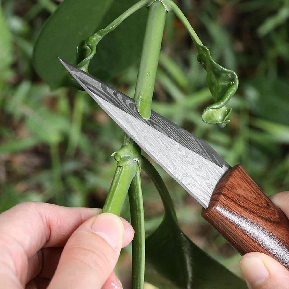 Grafting Knife Grafting Tools  - Harvest Knife Garden 评论和价格