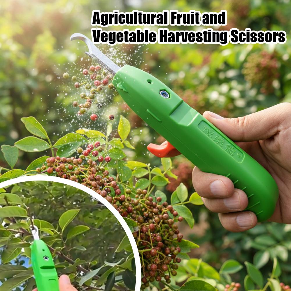 Fruit And Vegetable Picking Sh - Gardening Tools Vegetables 评论和价格