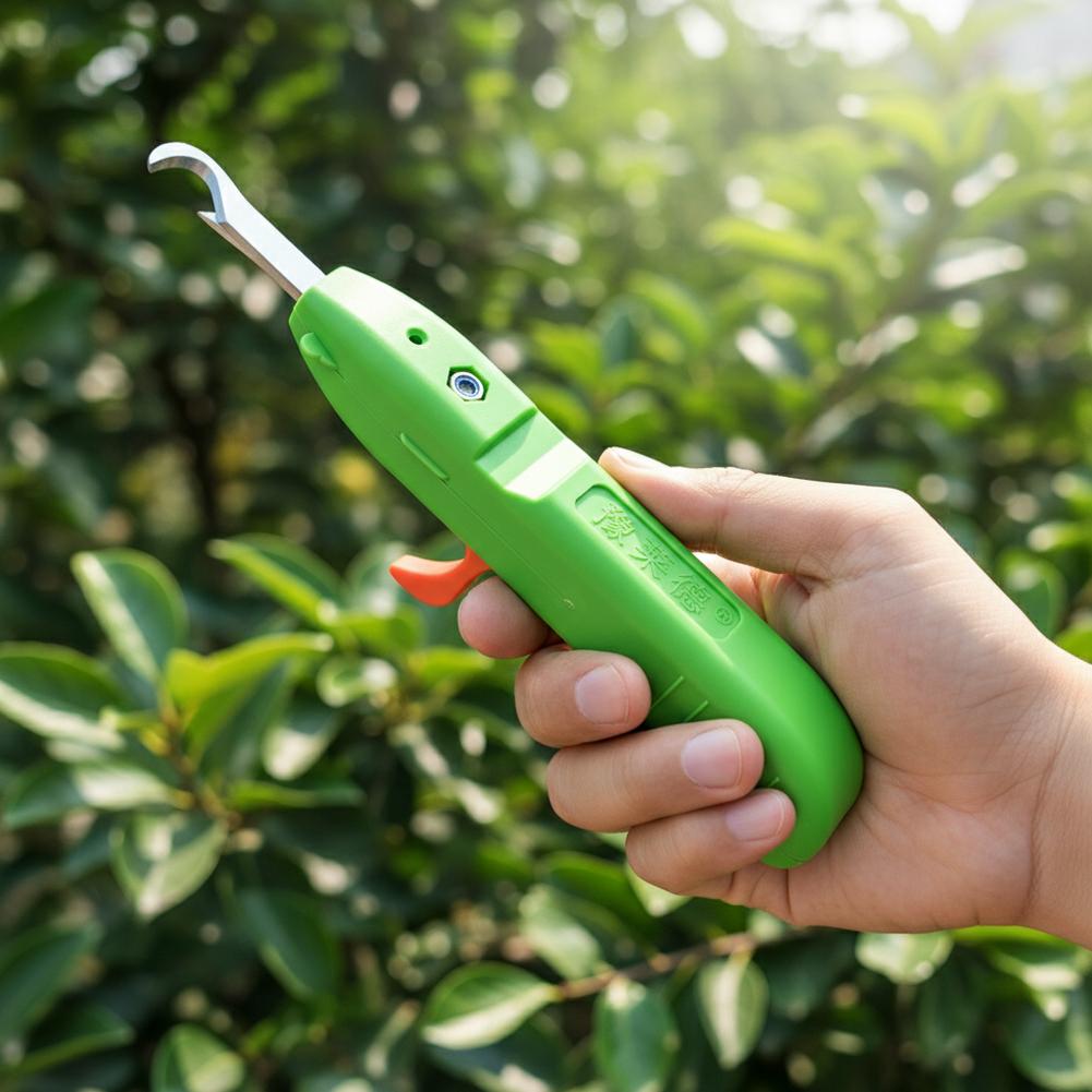 Fruit And Vegetable Picking Sh - Gardening Tools Vegetables 评论和价格