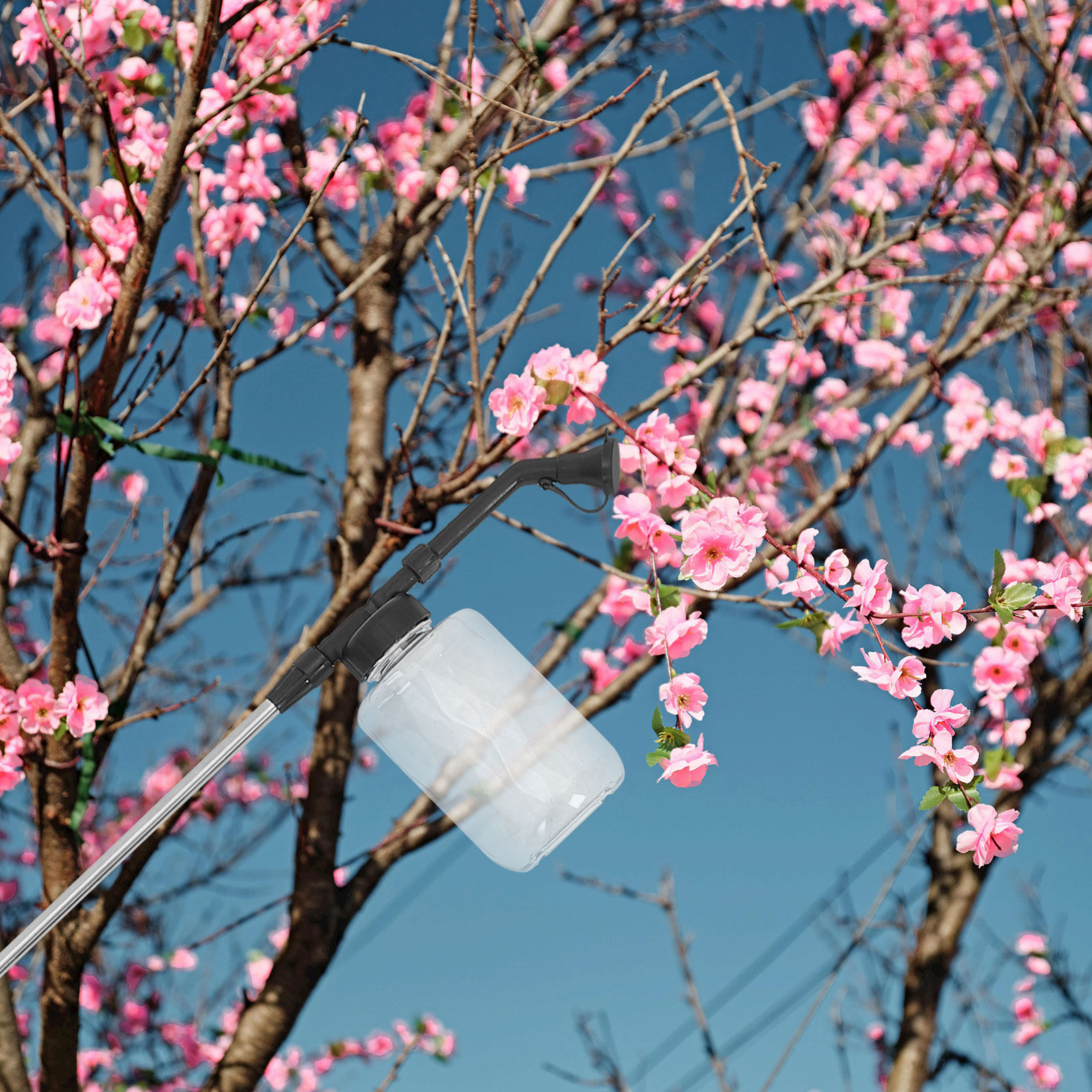 Manual Pollination Stick Handh - Gardening Tools Vegetables 评论和价格