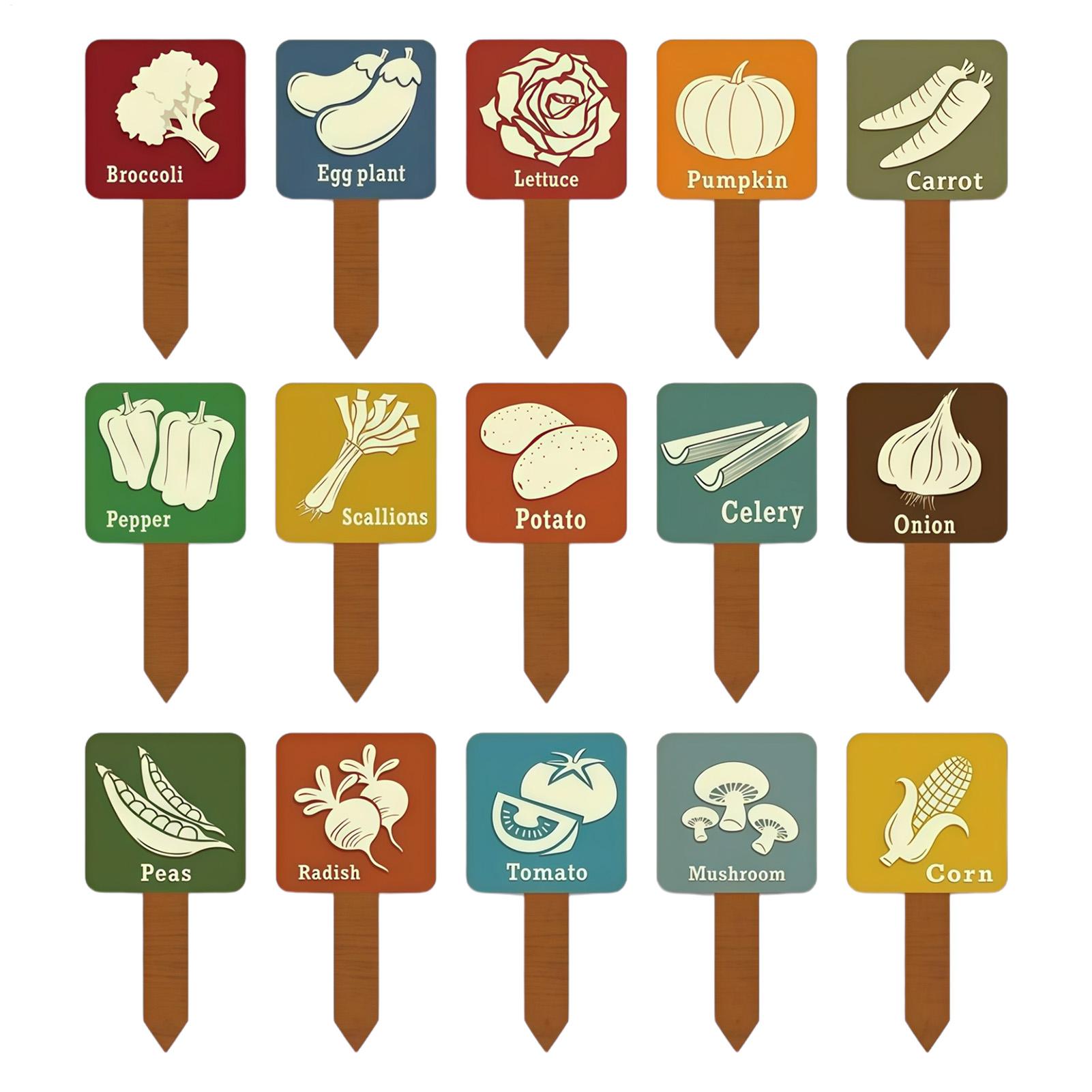15 Pieces T-shape Signs Tags M - Plant Label Tags 评论和价格