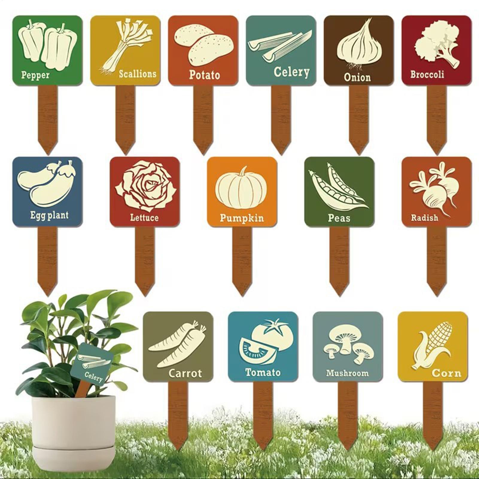 15 Pieces T-shape Signs Tags M - Plant Label Tags 评论和价格