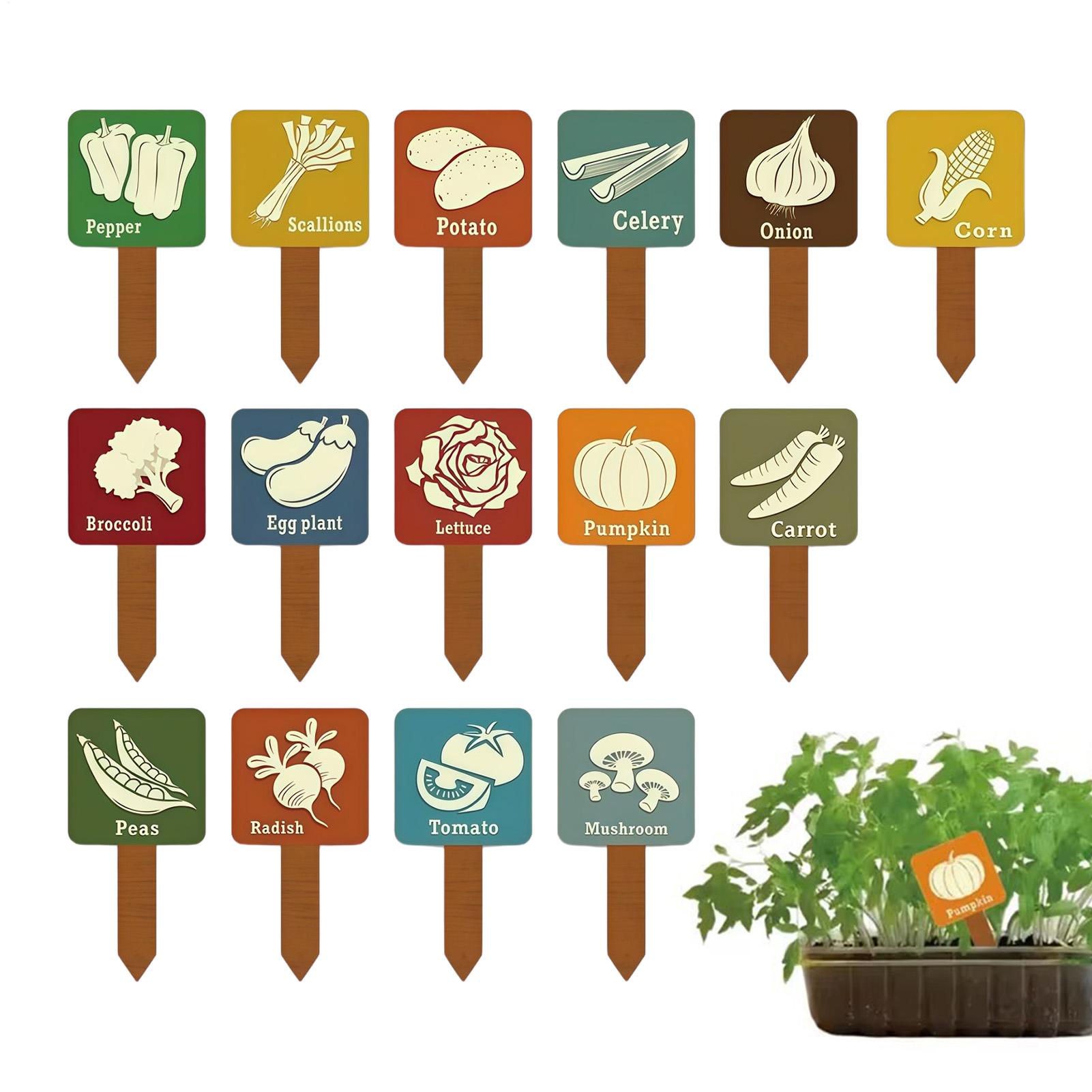 15 Pieces T-shape Signs Tags M - Plant Label Tags 评论和价格