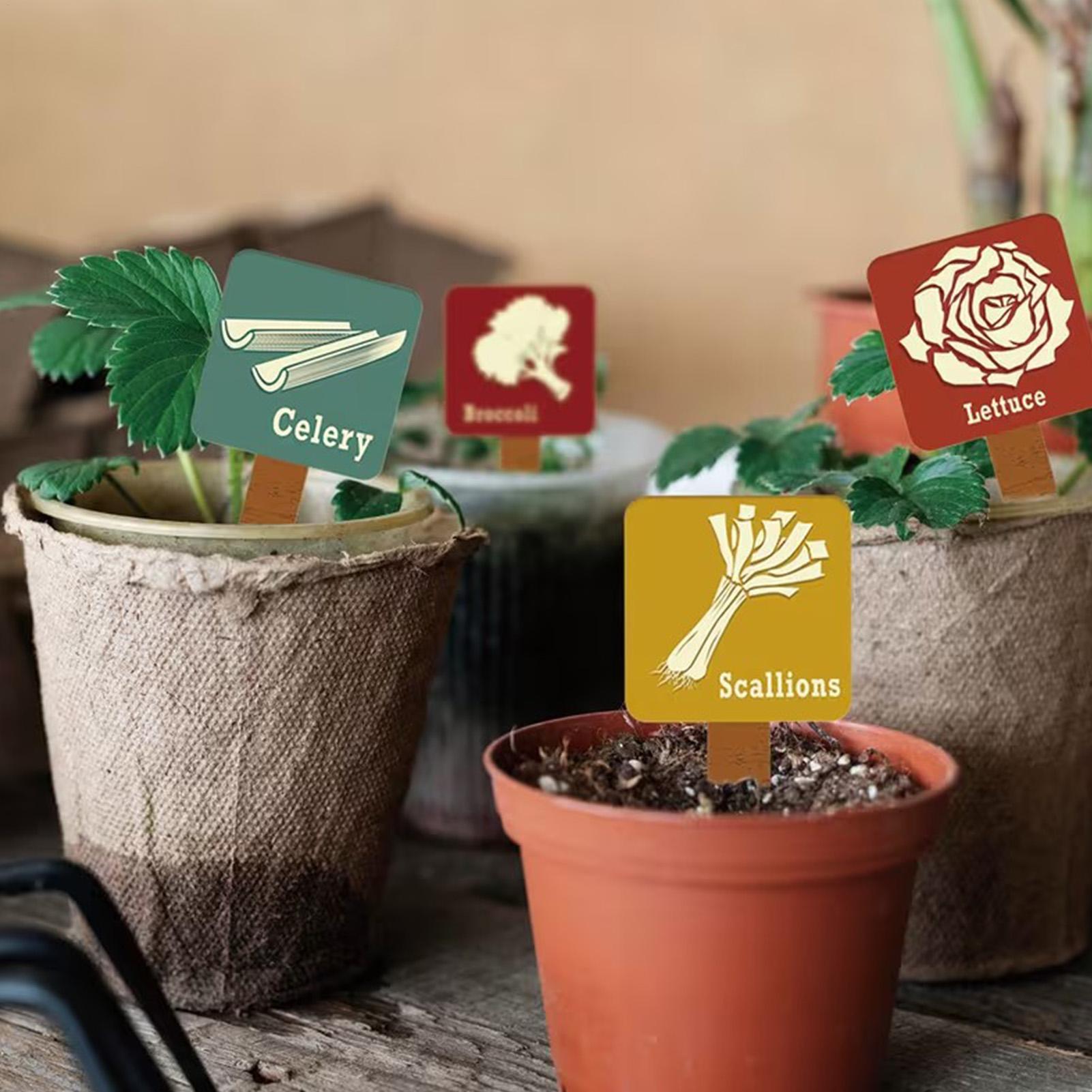 15 Pieces T-shape Signs Tags M - Plant Label Tags 评论和价格