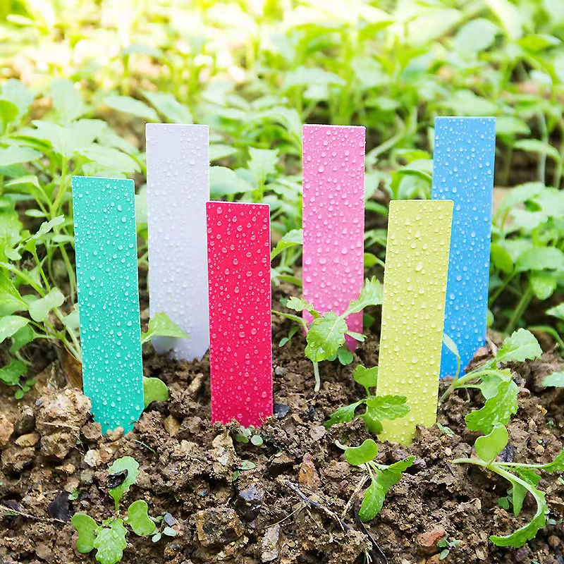 100Pcs Garden Plant Labels Pla - Plant Label Tags 评论和价格