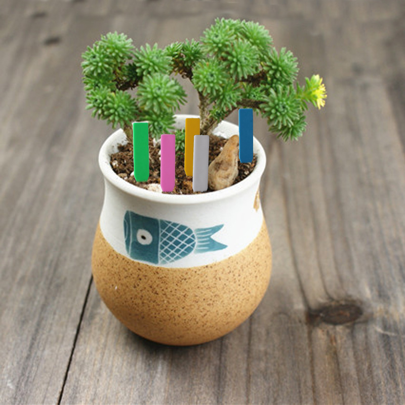 100Pcs Garden Plant Labels Pla - Plant Label Tags 评论和价格