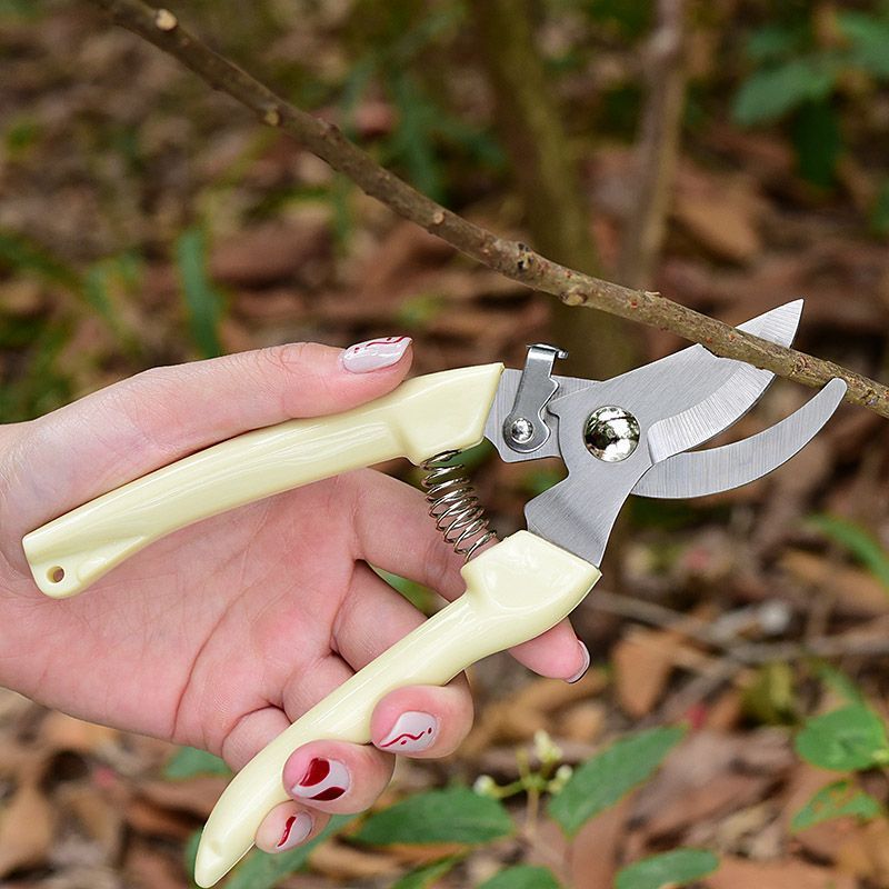 Labor‑Saving Garden Pruning Sh - Gardening Tools Spade 评论和价格