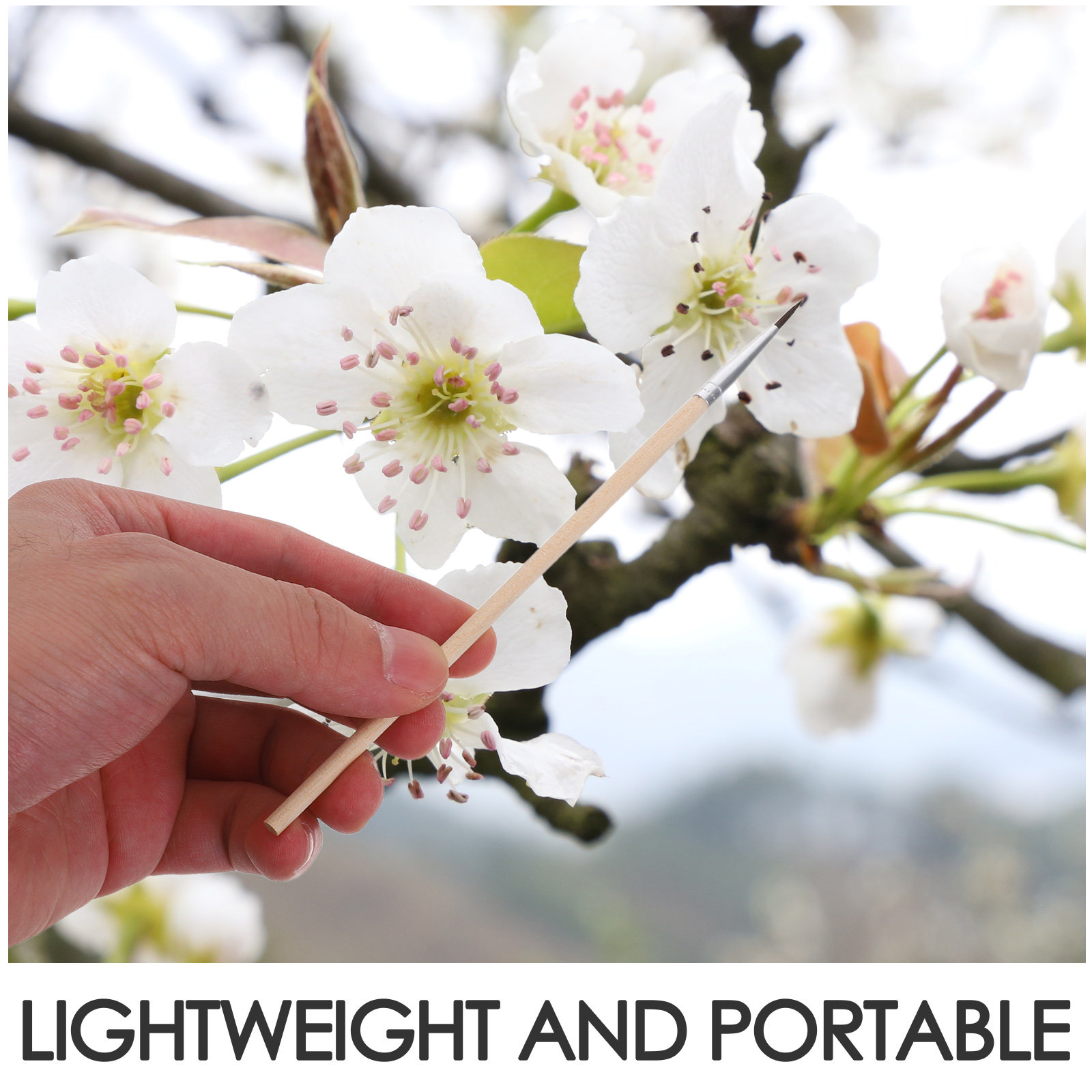 24Pcs Garden Pollination Brush - Gardening Tools Vegetables 评论和价格