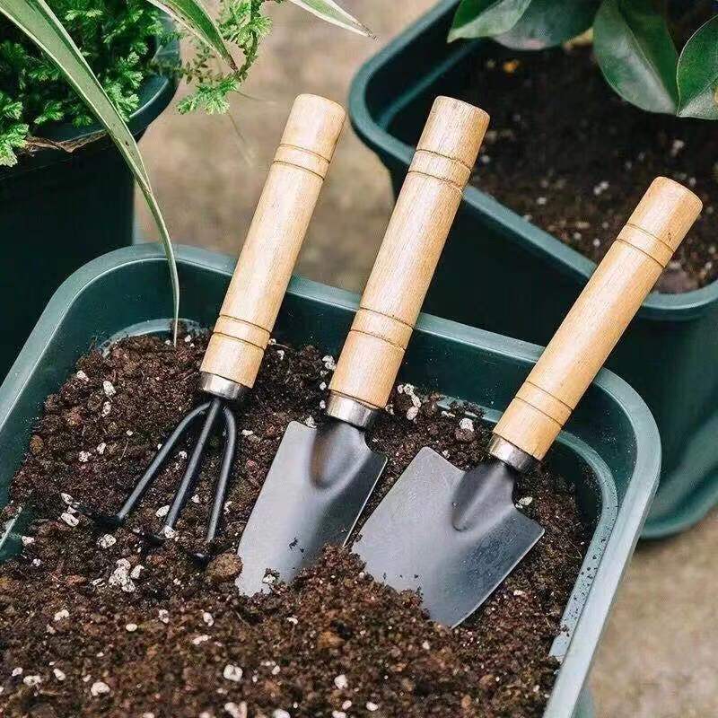 3PC/1Set Mini Gardening Tools  - Gardening Tools Spade 评论和价格
