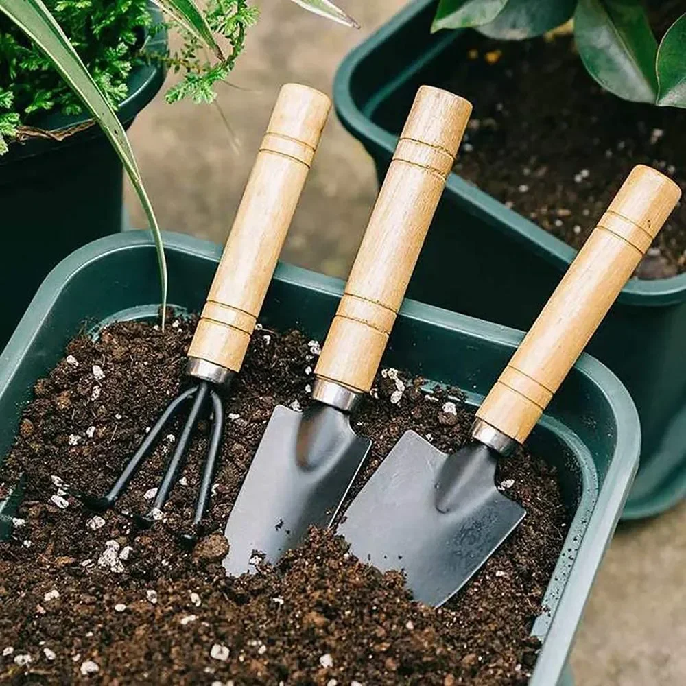 3Pcs/Set Mini Garden Tool Set  - Gardening Tools Vegetables 评论和价格