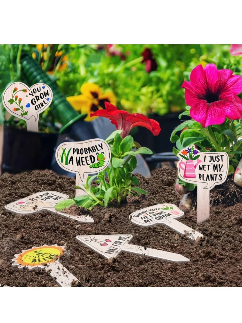 5/10Pcs Plant Labels for Succu - Plant Label Tags 评论和价格